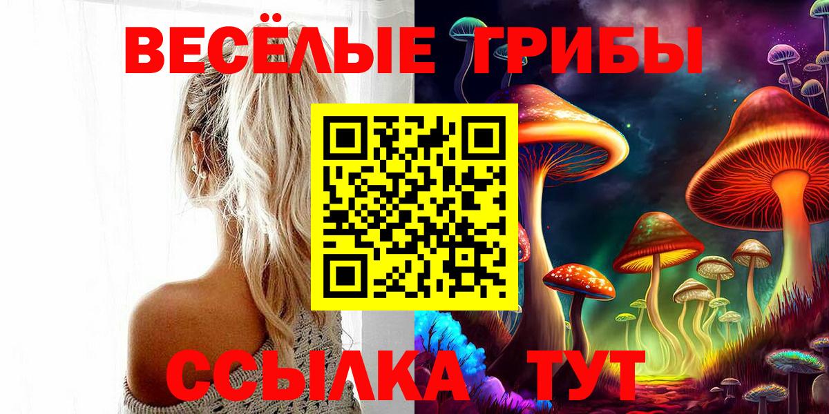 Псилоцибиновые грибы GOLDEN TEACHER  Псилоцибиновые грибы мицелий  Вход с VPN  Мурманск 
