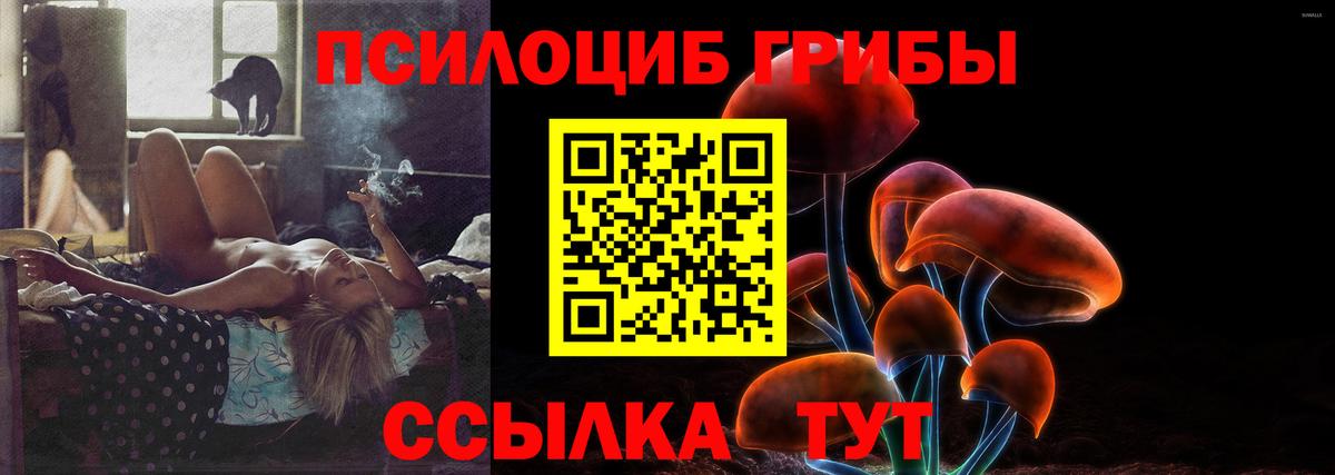 Псилоцибиновые грибы прущие грибы Мурманск